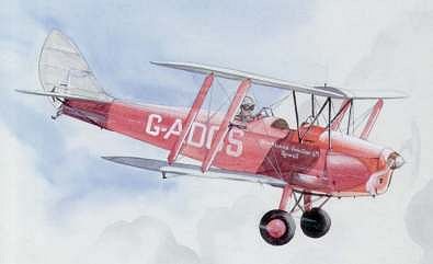 Tiger Moth in flight